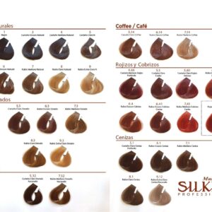 Silkey Coloracion