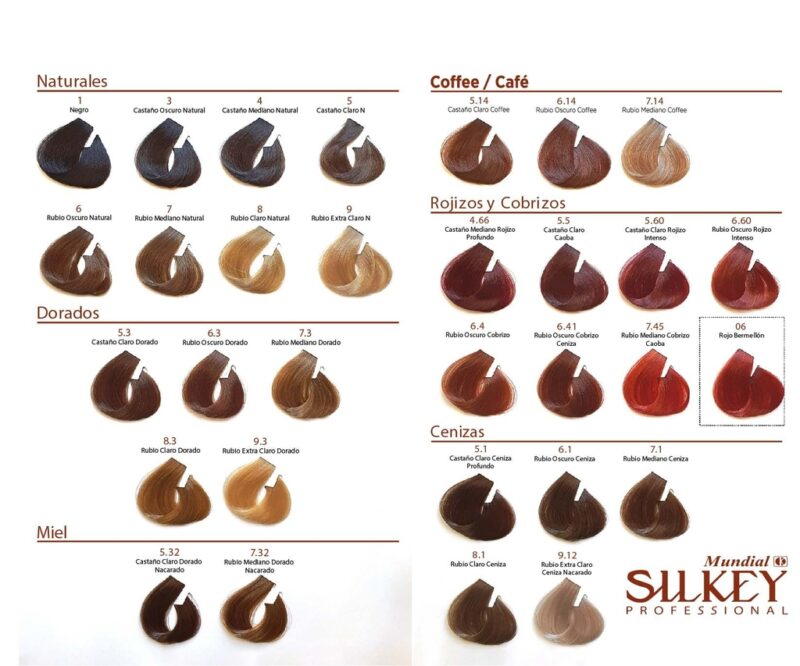 Silkey Coloracion